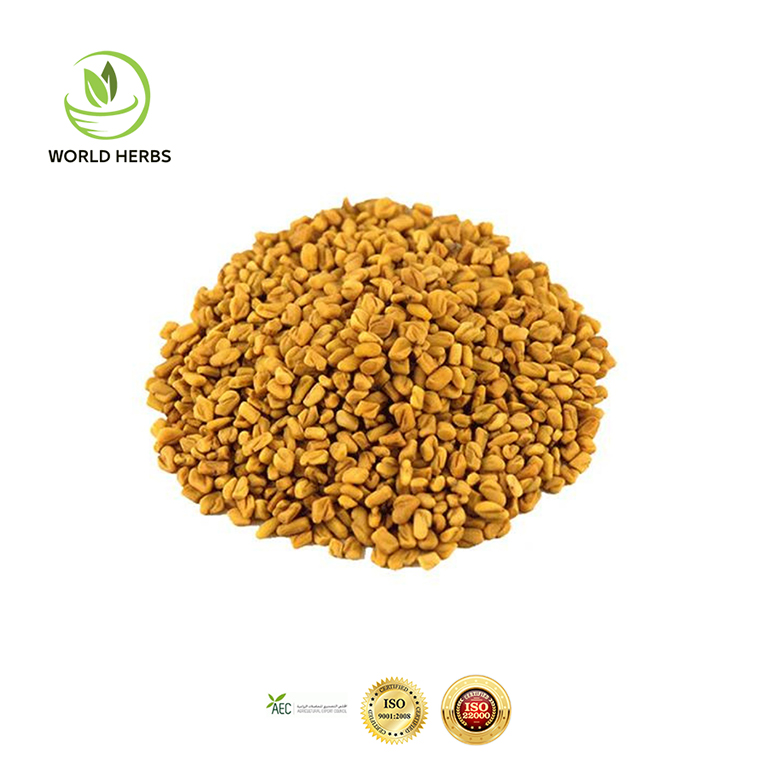 Fenugreek